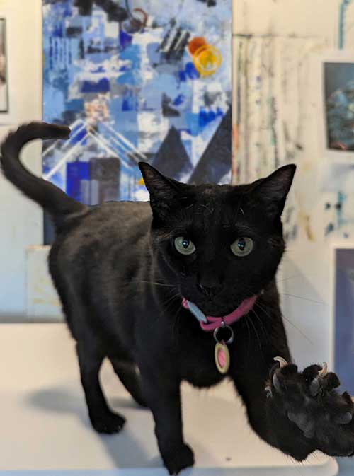 Kenzi, one of my cats, in my art studio